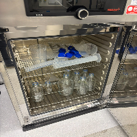 Memmert UF260 Lab Oven image 3